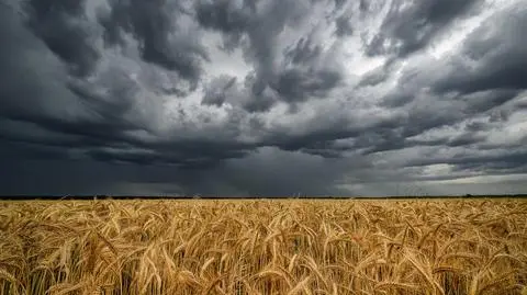Burza