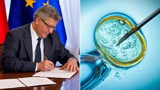 Los ustawy o in vitro w rękach prezydenta. Koniec "wolnej amerykanki"?