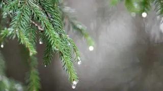 Już niedługo będzie nawet 10 stopni, a może i więcej