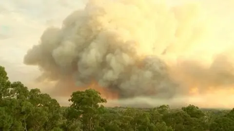 Fala upałów w Australii, strażacy walczą z ogniem. Zniszczonych kilkanaście budynków