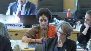 Kobieta, która przedstawiła się jako Vijayapriya Nithyananda zabrała głos na posiedzeniu Komitetu Praw Gospodarczych, Społecznych i Kulturalnych ONZ 