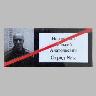 Aleksiej Nawalny odsiaduje wyrok w kolonii karnej w Pokrowie 