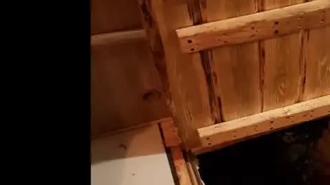 Ukrywał się pod podłogą