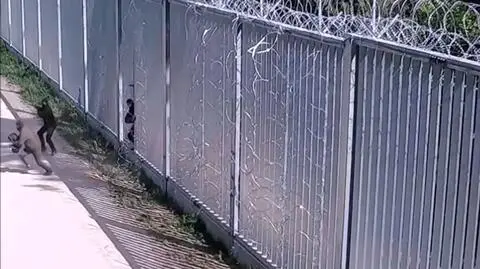 Druga osoba wbiegła na teren Polski. Miała ze sobą plecak 