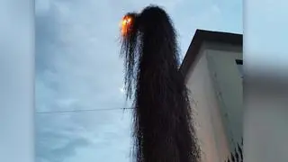 "Upiorna latarnia" przy Ogrodzie Botanicznym we Wrocławiu