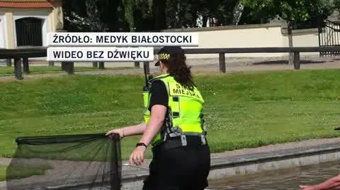 slideshow bia 