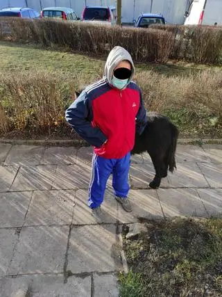 Właścicielowi nakazano odprowadzić kucyka na wieś