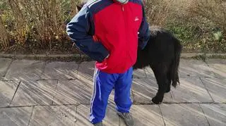 The owner was told to take the animal to a nearby village