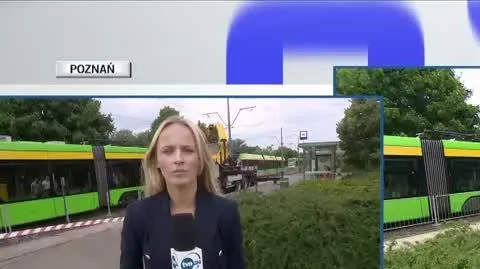 tramwaje live 2