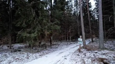 "Wyziębieni, zmęczeni push backami i przemocą". Dramat migrantów wcale się skończył