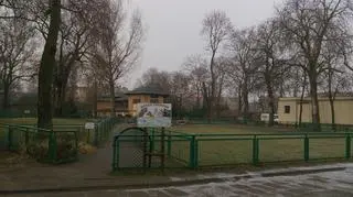 Pozostały głównie zwierzęta kopytne
