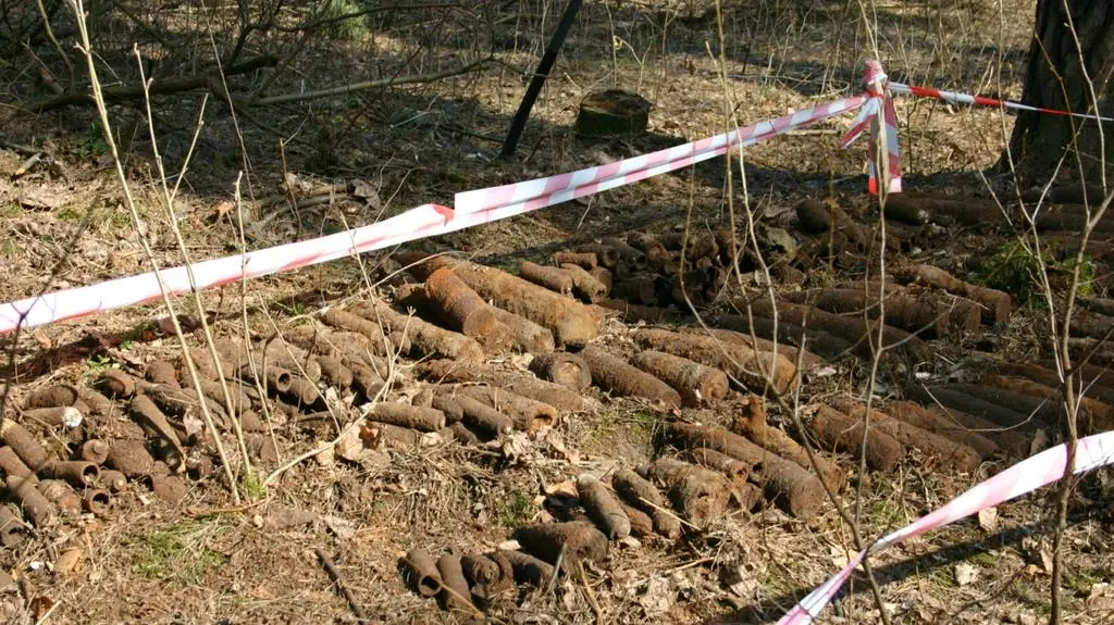 W lesie znajduje się mnóstwo pocisków