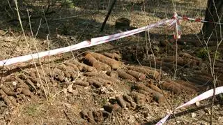 W lesie znajduje się mnóstwo pocisków