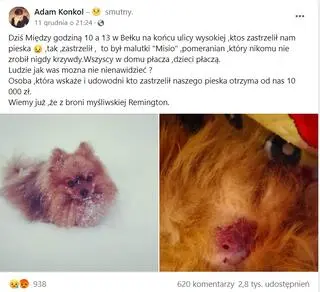 Aktualnie czytasz: Pies Adama Konkola z zespołu Łzy zabity w Bełku. Muzyk obiecał nagrodę za pomoc w ustaleniu sprawców