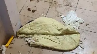 Na podłodze leżały m.in. resztki jedzenia, stare pieluchy, a także odchody psów