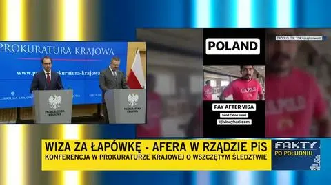 Afera wizowa w MSZ