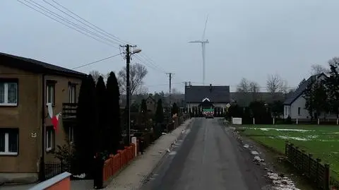 "Śmigła z wiatraków nie zabijają ludzi"