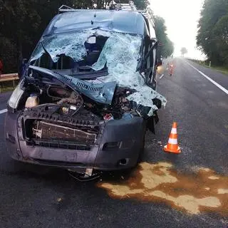 29-latek trafił do szpitala po zderzeniu z łosiem