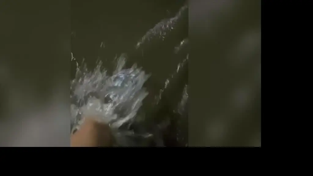 Zalany Ostrów Wielkopolski