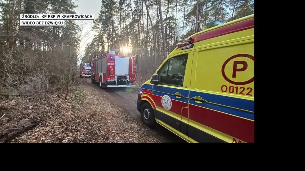 KP PSP w Krapkowicach