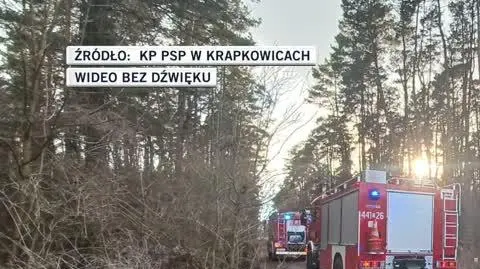 KP PSP w Krapkowicach