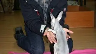 Opiekunką Tosi została pani Beata