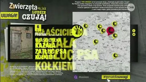 Pies zatłuczony kołkiem, kot z oderwanymi łapkami. Mapa bestialstwa