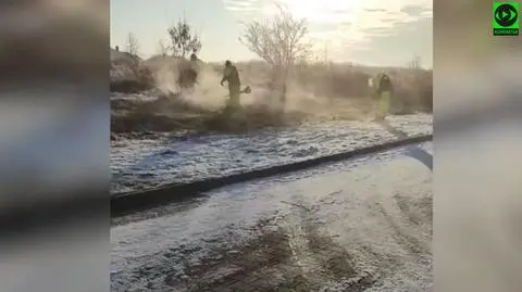 Poświąteczny widok na jednym z osiedli w Głogowie