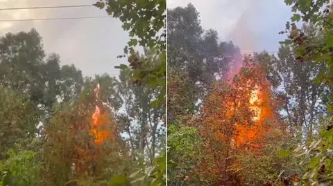Jak szybko zerwane linie energetyczne mogą wywołać pożar?