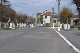 Białe drzewa, krawężniki i słupy w Dąbrowicach