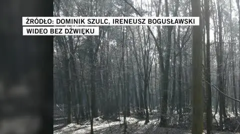 szulc