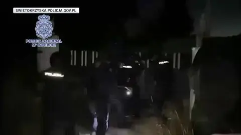 policja