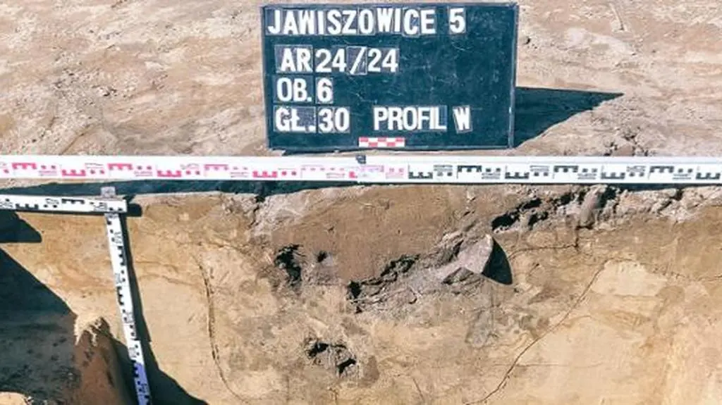 Odkrycie archeologiczne w Jawiszowicach