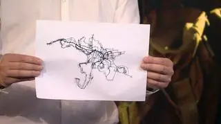 Tak może wyglądać mapa miasta wykonana przez robopsy z technologią 