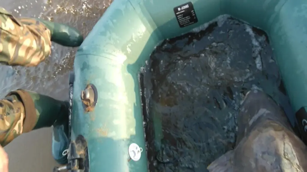 Złowił gigantycznego karpia