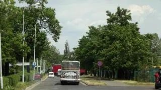 MPK zorganizowało konkurs. Polowanie na Ikarusa, nową maskotkę mpk