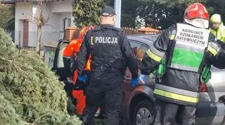 Ostrów Wielkopolski. Mężczyzna poszkodowany przez spadające drzewo