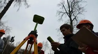 Studenci trzech krakowskich uczelni badają 600-letnie drzewo