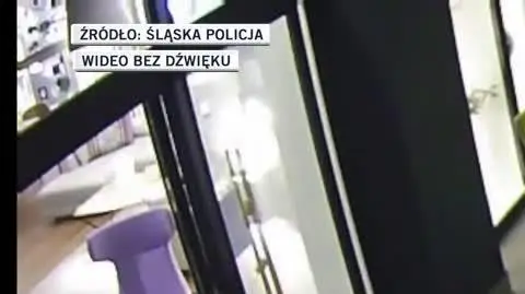 śląska policja