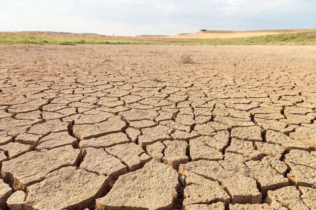 W wyniku zmian klimatu wzrasta zagrożenie suszami