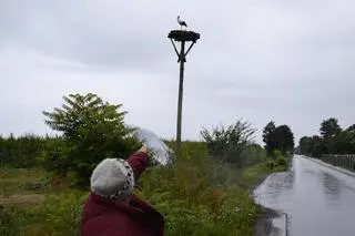 Okoliczności śmierci ptaka badają śledczy