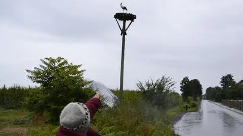 Okoliczności śmierci ptaka badają śledczy