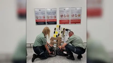 Projekt bez nazwy (60)