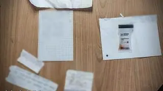 Cała trójka usłyszała już zarzuty wprowadzania do obrotu znacznych ilości substancji odurzających