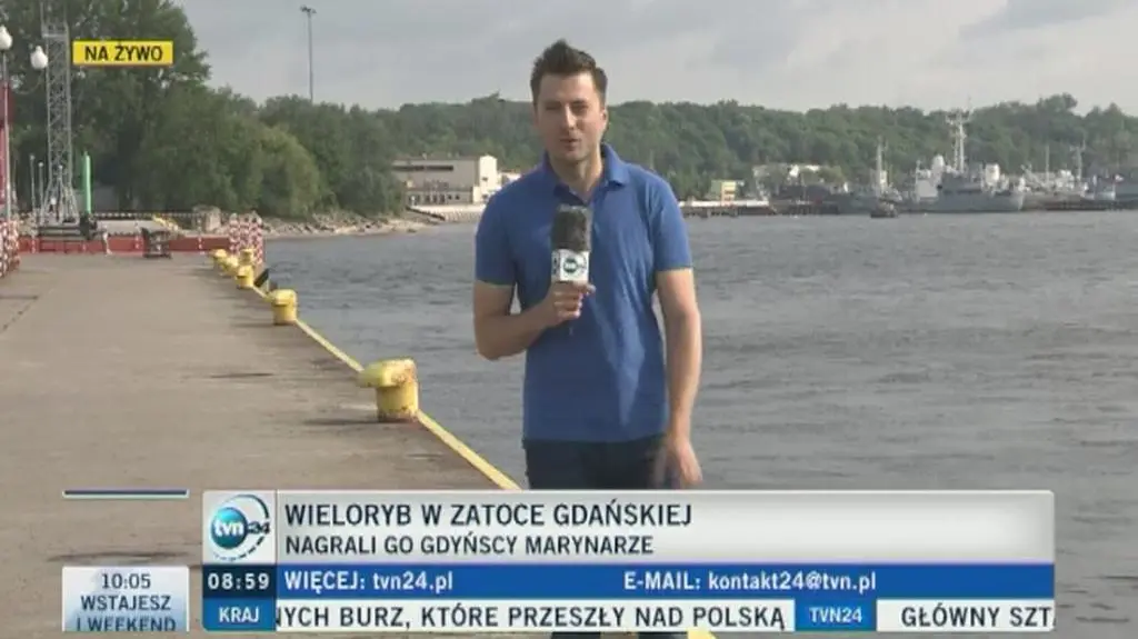 Wieloryb w gdyńskim porcie