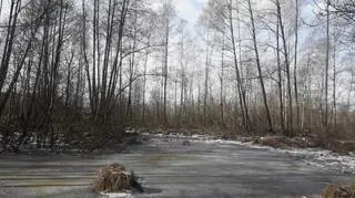 Niedaleko planowanych kurników w pobliżu Augustynki zlokalizowane są stawy