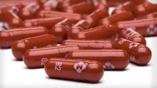 Molnupiravir