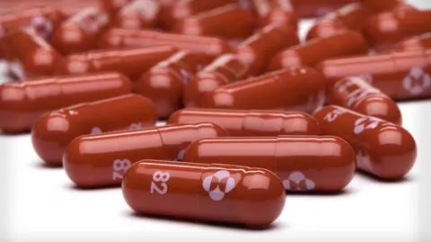 Health ministry: Poland purchases molnupiravir COVID medicine. First tranche to arrive in mid-December