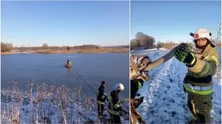 Akcja ratowania łabędzia z zamarzniętego jeziora