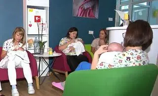 Spada liczba adopcji w Polsce